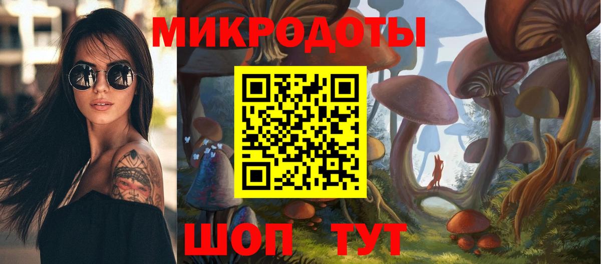 Псилоцибиновые грибы мицелий Дербент